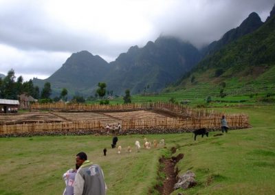 Very remote vegetation project, in the hills of Wofwasha