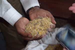 Frankincense, Myrrh and protecting the last green belt against the Sahara