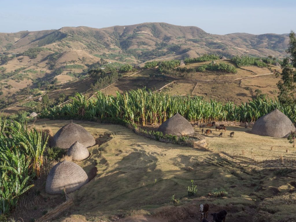 Sustainable Forest and Land Management Project